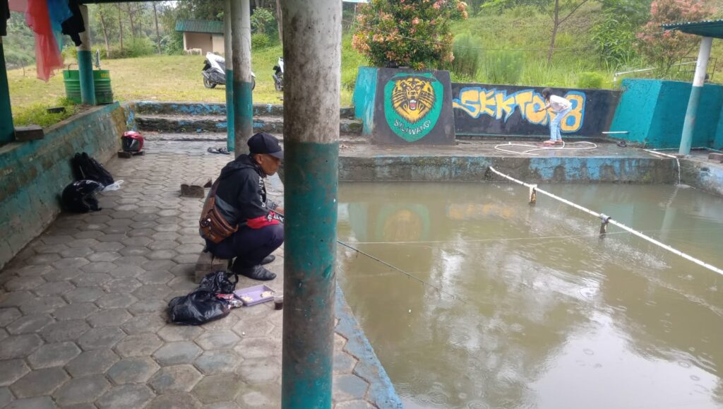 Mancing mania
